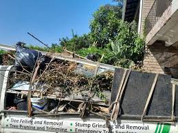 Best Shed Removal  in Redan, GA